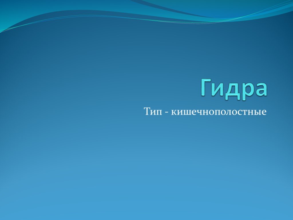 Что такое кракен сайт в россии