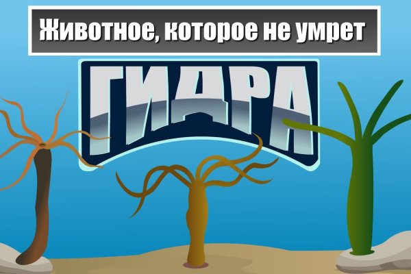 Кракен даркнет только через тор скачать