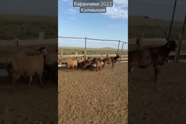 Ссылки на дарк нет