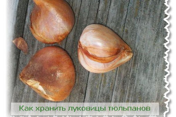 Действующие ссылки на кракен