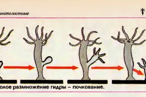 Можно вывести деньги с кракена