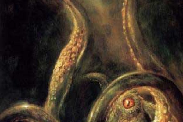 Kraken tor link