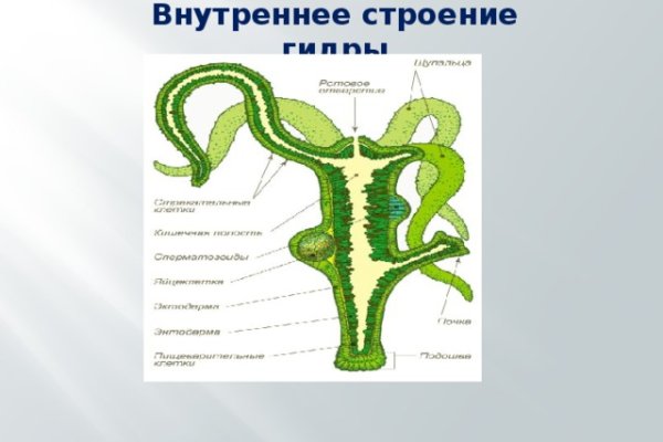 Как зарегаться в кракен