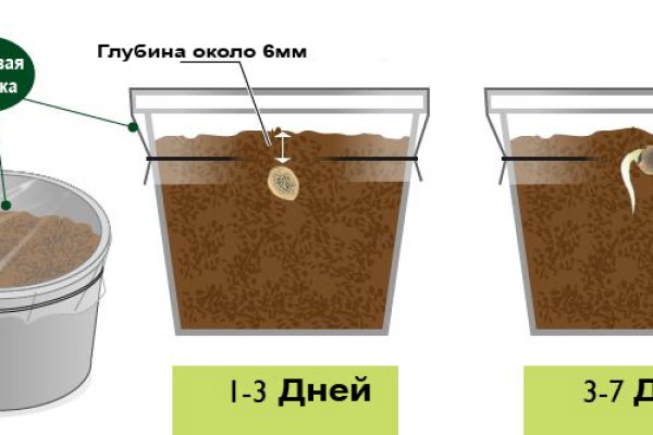 Кракен сообщество