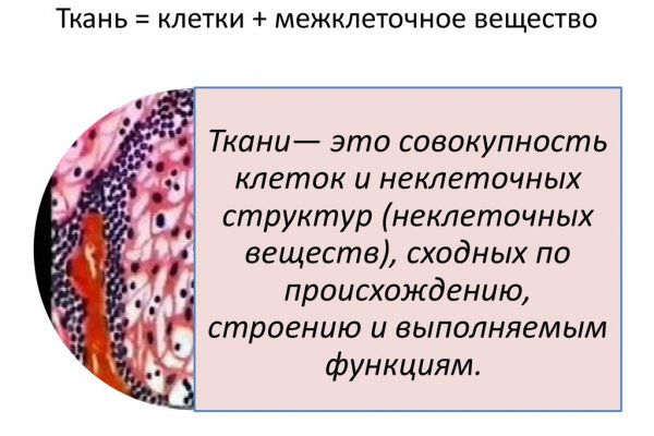 Кракен настоящее зеркало