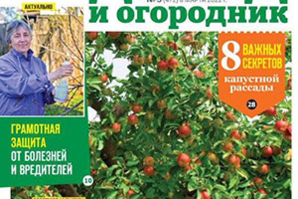 Что за приложение кракен